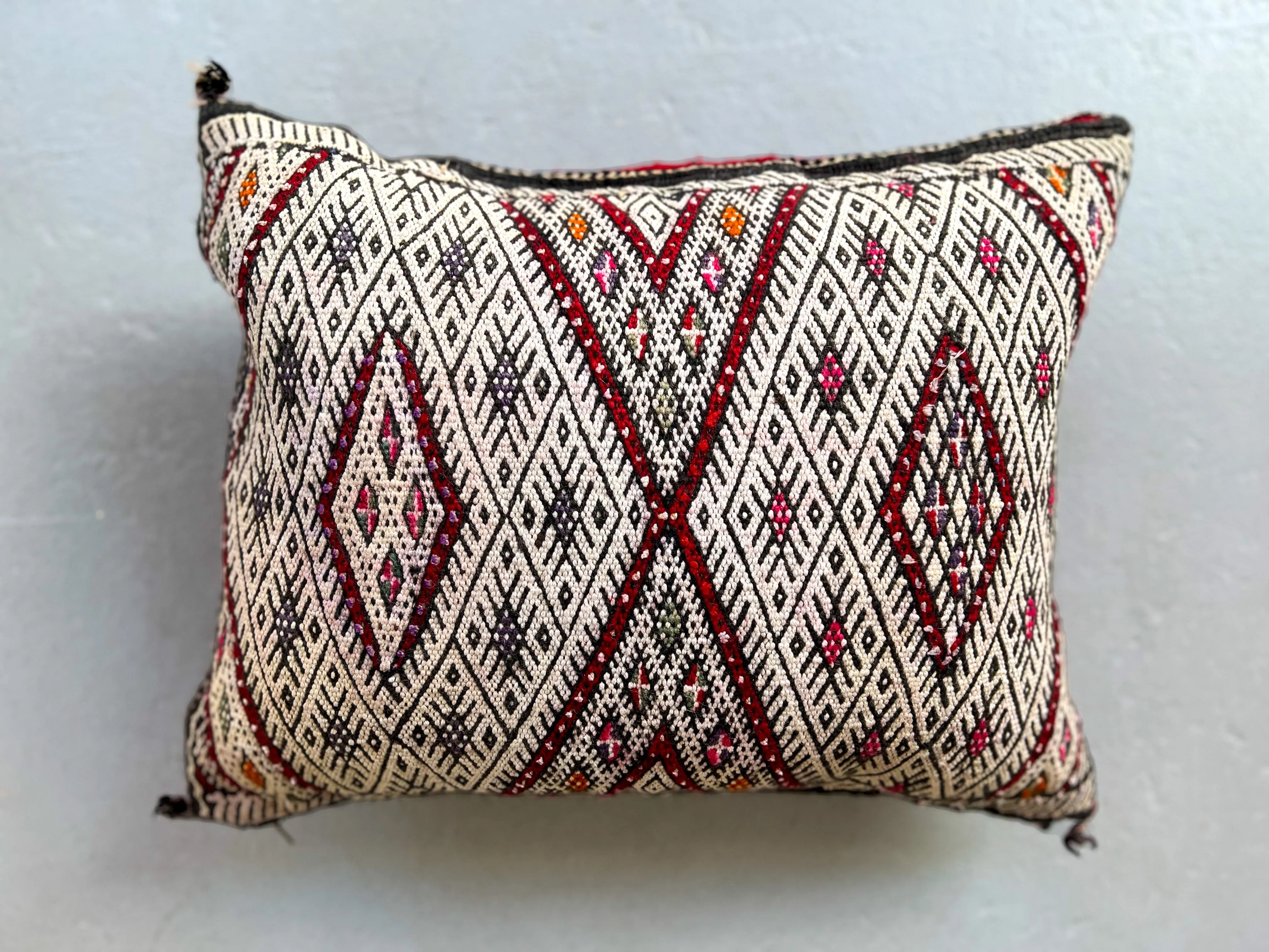 Ain Leuh Pillow - Protection
